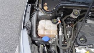 FORD Focus usata 125