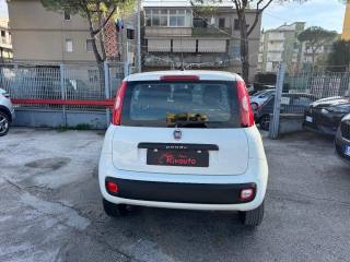 FIAT Panda usata, con Volante in pelle