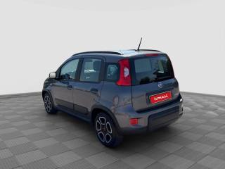 FIAT Panda usata 2