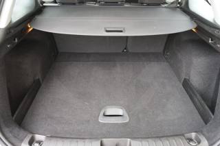 FIAT Tipo usata, con Bracciolo