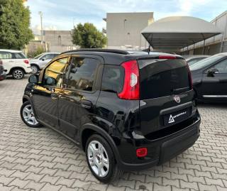 FIAT Panda usata, con Alzacristalli elettrici