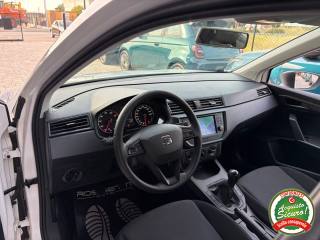 SEAT Arona usata, con Fendinebbia