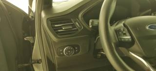 FORD Focus usata 53