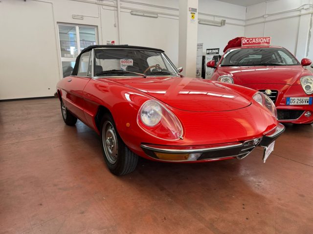 ALFA ROMEO Spider usata 1