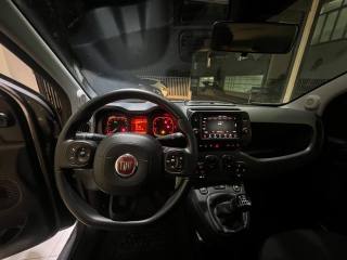 FIAT Panda usata, con Fendinebbia
