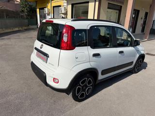 FIAT Panda usata, con Chiusura centralizzata