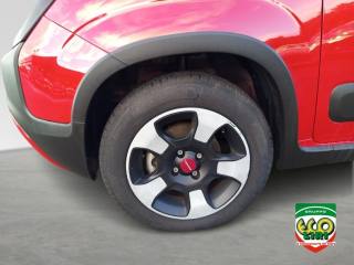 FIAT Panda Cross usata, con Sensori di parcheggio posteriori