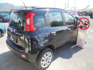 FIAT Panda usata, con Immobilizzatore elettronico