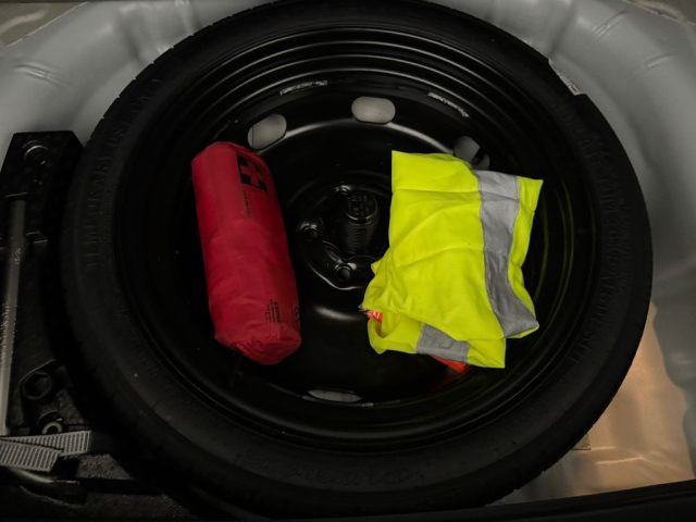 VOLKSWAGEN T-Roc usata, con Immobilizzatore elettronico