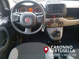 FIAT Panda usata, con Fendinebbia