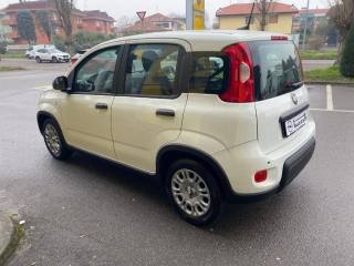 FIAT Panda usata, con Antifurto