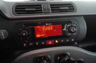 FIAT Panda usata 16