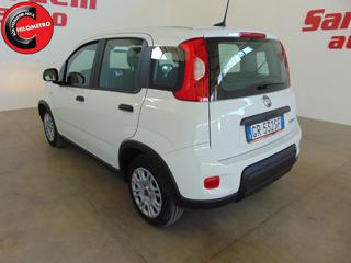 FIAT Panda usata, con ESP