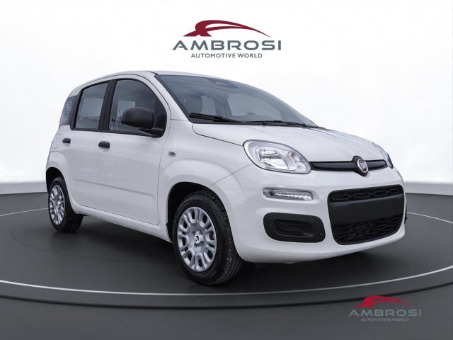 FIAT Panda usata 1