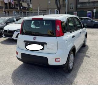 FIAT Panda usata, con Airbag Passeggero