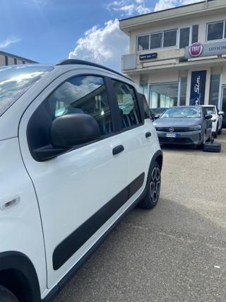 FIAT Panda usata 28