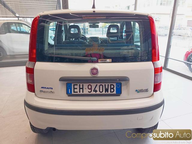FIAT Panda usata, con Airbag Passeggero