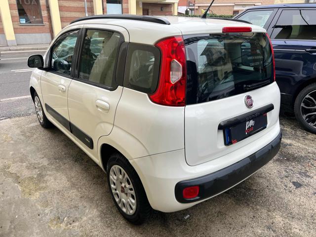 FIAT Panda usata, con Fendinebbia