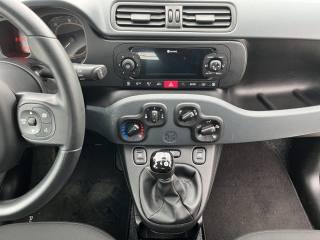 FIAT Panda usata 12