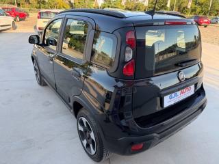 FIAT Panda Cross usata, con Climatizzatore