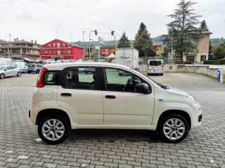 FIAT Panda usata, con Controllo trazione
