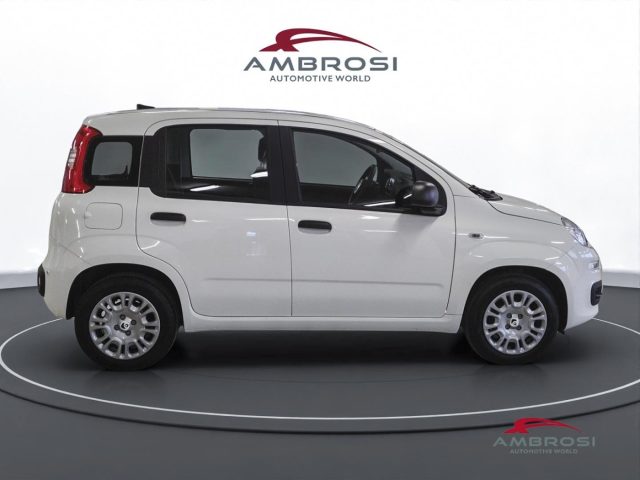 FIAT Panda usata 3