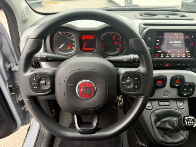 FIAT Panda usata 16