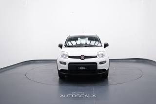 FIAT New Panda usata, con Airbag