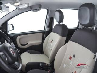 FIAT Panda usata 8
