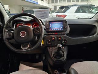 FIAT Panda Cross usata, con Chiusura centralizzata