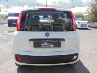 FIAT Panda usata, con Airbag testa