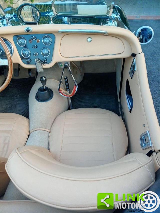 TRIUMPH TR3 usata 13