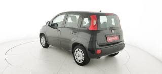 FIAT Panda usata, con Isofix