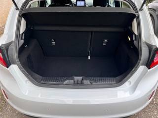 FORD Fiesta usata, con Volante in pelle