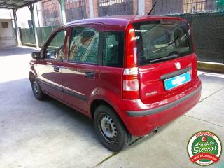 FIAT Panda usata, con Airbag Passeggero