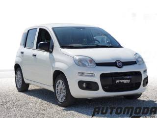 FIAT Panda usata, con Airbag laterali