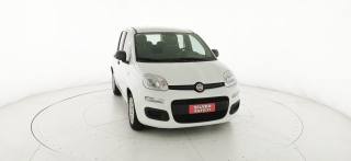 FIAT Panda usata 24