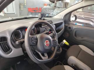 FIAT Panda usata 22