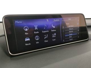 LEXUS RX 450h usata, con ESP