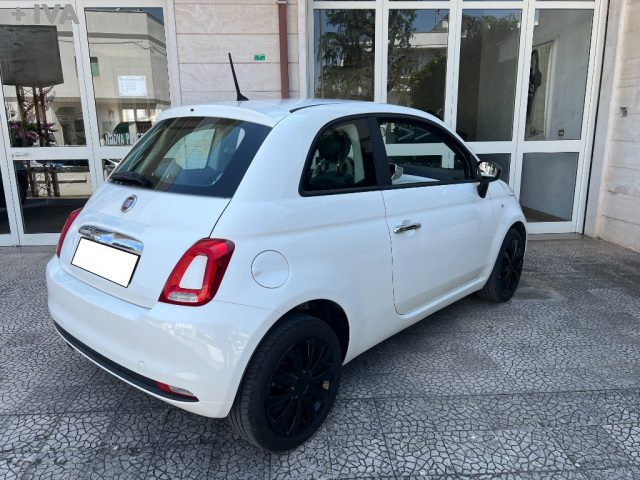 FIAT 500 usata 8