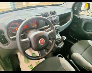 FIAT New Panda usata, con Controllo automatico clima