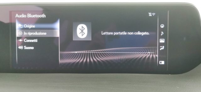 LEXUS UX 250h usata 74