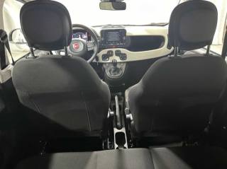 FIAT Panda usata 15