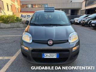 FIAT Panda usata, con Airbag Passeggero