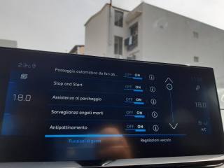 PEUGEOT 3008 usata, con Controllo automatico clima