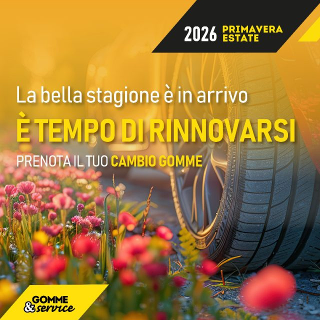 LANCIA Ypsilon usata, con Airbag testa
