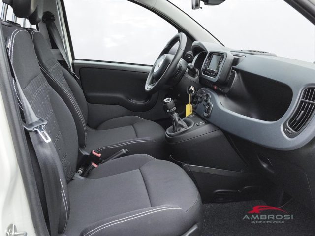 FIAT Panda usata 11