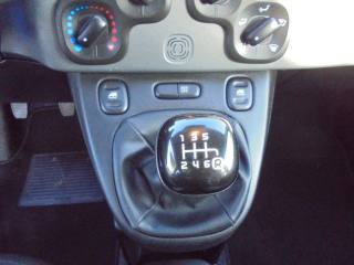 FIAT Panda usata 22