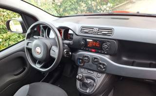 FIAT Panda usata, con Climatizzatore