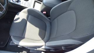 FORD Focus usata 62